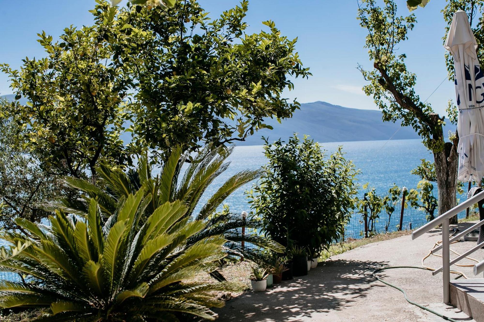 Villa Del Mar Kanine Exterior photo